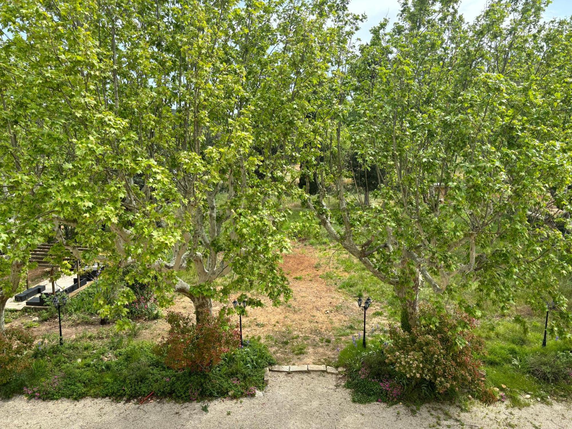 Appartement De Standing Dans Une Bastide Aixoise Aix-en-Provence Eksteriør bilde